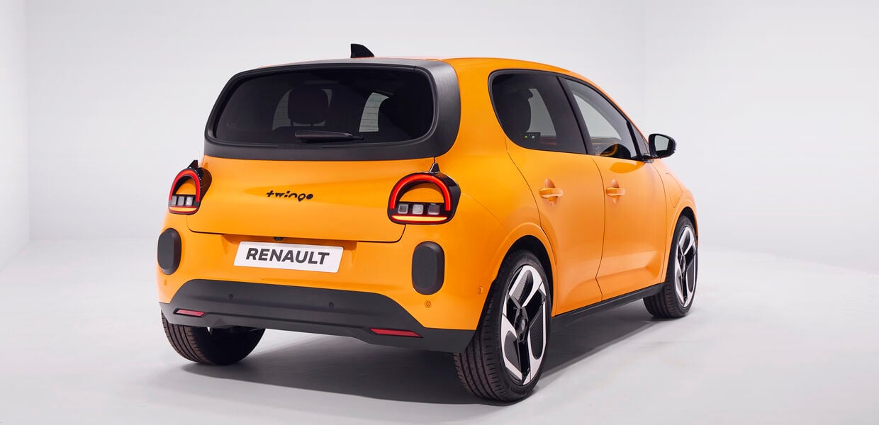 Hundeblick auf Rädern