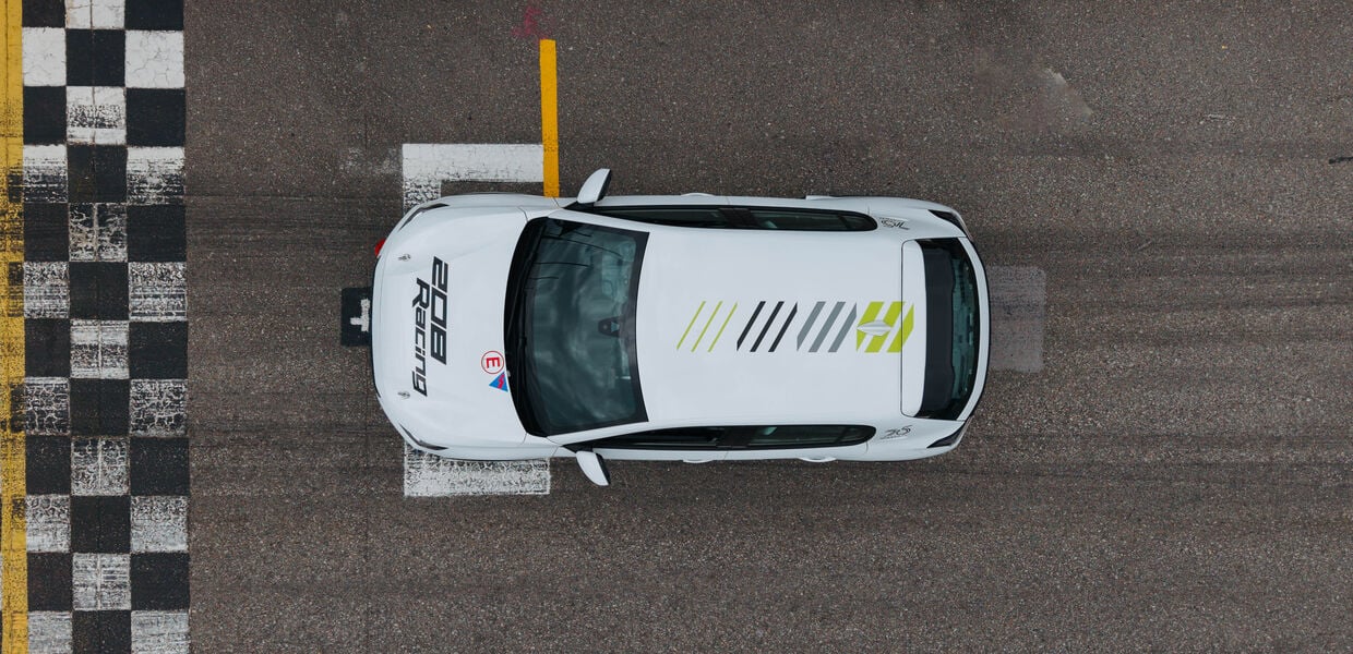 Un lion aux petites griffes