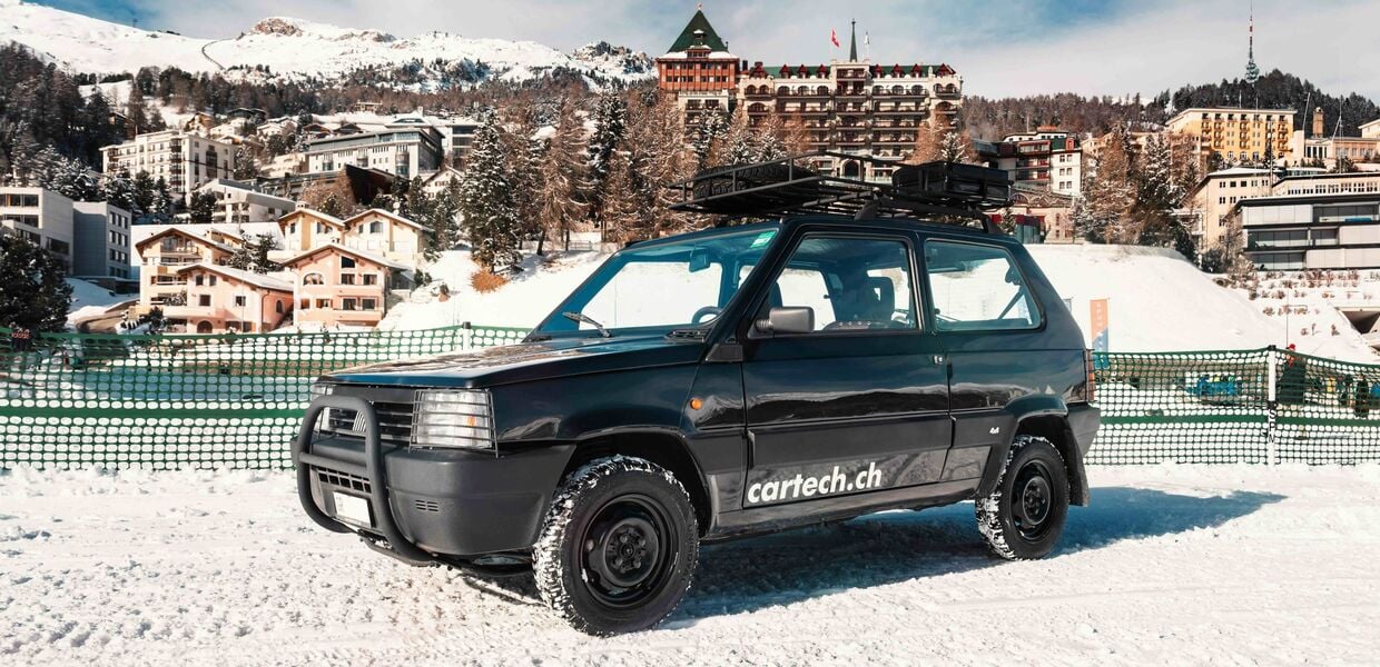 La chèvre de montagne italienne