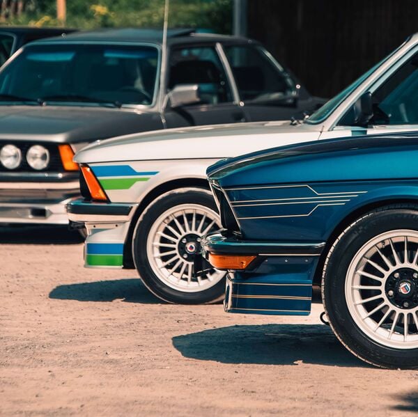 Le sommet des Alpina