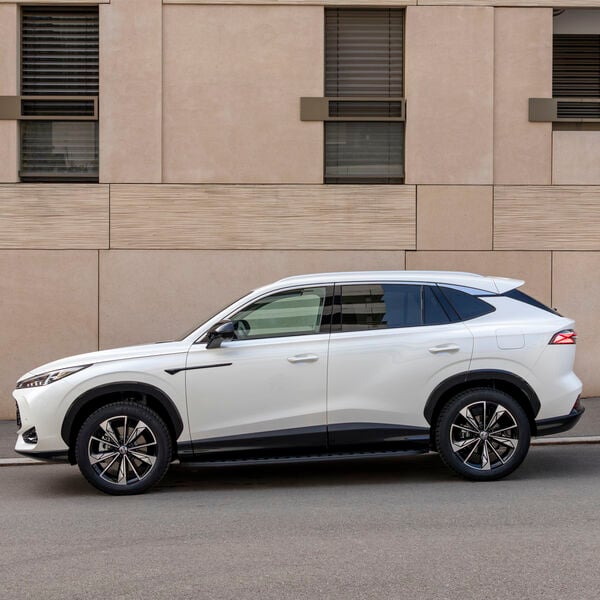 Mehr Plus als Hybrid?