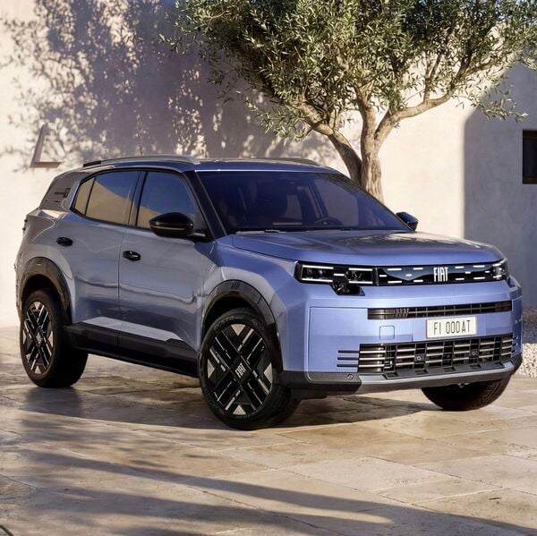 Der neue Fiat Braunbär